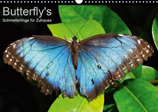 Cover for Bade · Butterfly's - Schmetterlinge für Z (Book)