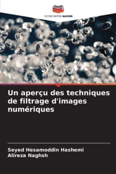 Cover for Seyed Hesamoddin Hashemi · Un apercu des techniques de filtrage d'images numeriques (Paperback Book) (2021)