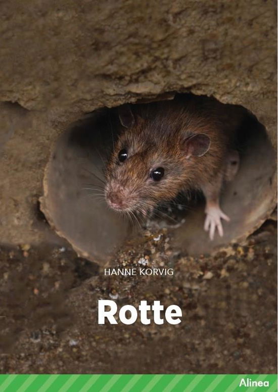 Cover for Hanne Korvig · Fagklub: Rotte, Grøn Fagklub (Bound Book) [1st edition] (2022)