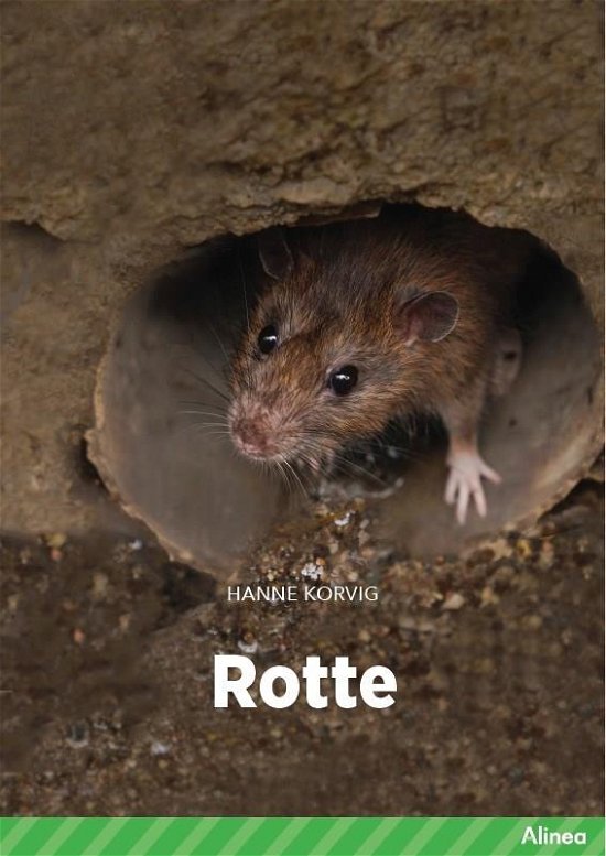 Cover for Hanne Korvig · Fagklub: Rotte, Grøn Fagklub (Gebundesens Buch) [1. Ausgabe] (2022)
