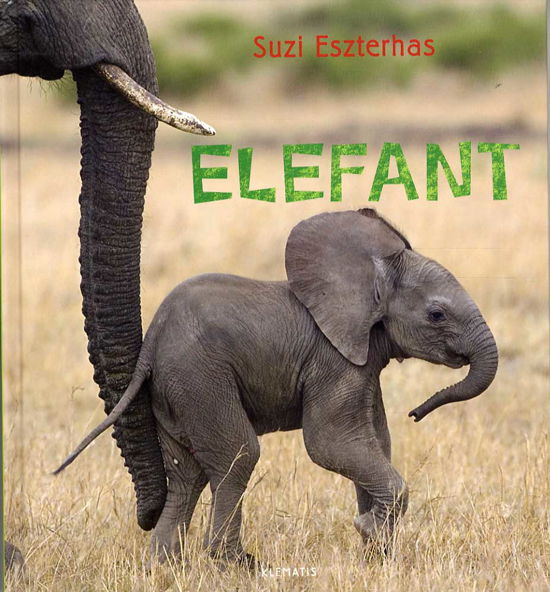 Cover for Suzi Eszterhas · Se på vilde dyr: Elefant (Gebundesens Buch) [1. Ausgabe] (2014)