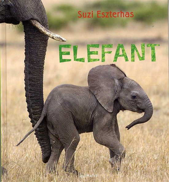 Cover for Suzi Eszterhas · Se på vilde dyr: Elefant (Bound Book) [1st edition] (2014)