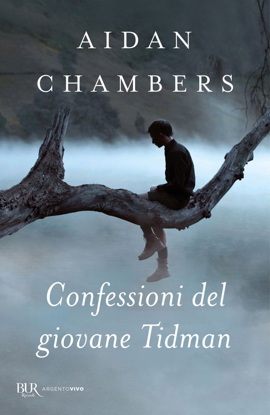 Cover for Aidan Chambers · Confessioni Del Giovane Tidman (Book)