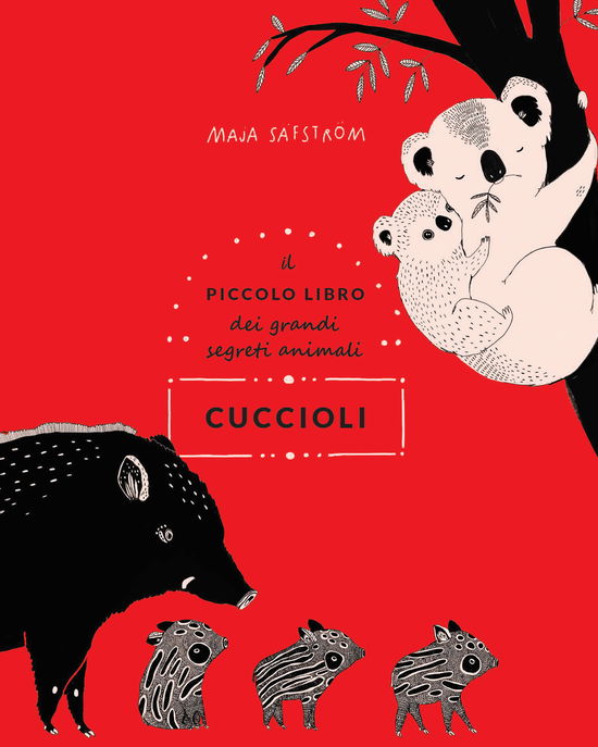 Cover for Maja Safstrom · Cuccioli. Il Piccolo Libro Dei Grandi Segreti Animali. Ediz. Illustrata (Book)