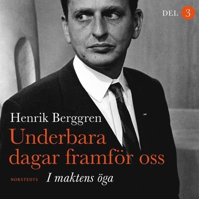 Underbara dagar framför oss : I maktens öga - Henrik Berggren - Audio Book - Norstedts - 9789113111650 - January 26, 2021