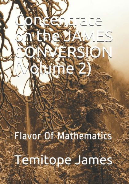 Cover for Temitope James · Concentrate on the JAMES CONVERSION (Volume 2) (Pocketbok) (2020)