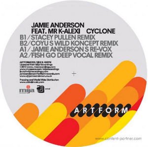 Cover for Jamie Anderson · Cyclone (Stacey Pullen Remix) (12&quot;) (2010)