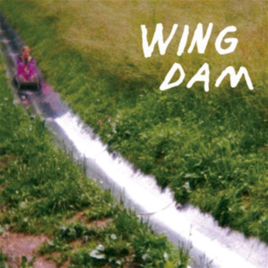 Cover for Wing Dam · Glow Ahead (LP) (2017)