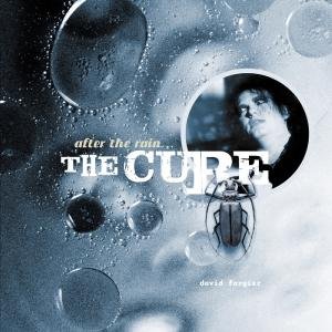 After the Rain...the Cure - The Cure - Livres - Cleopatra Records - 0741157926651 - 1 décembre 2016