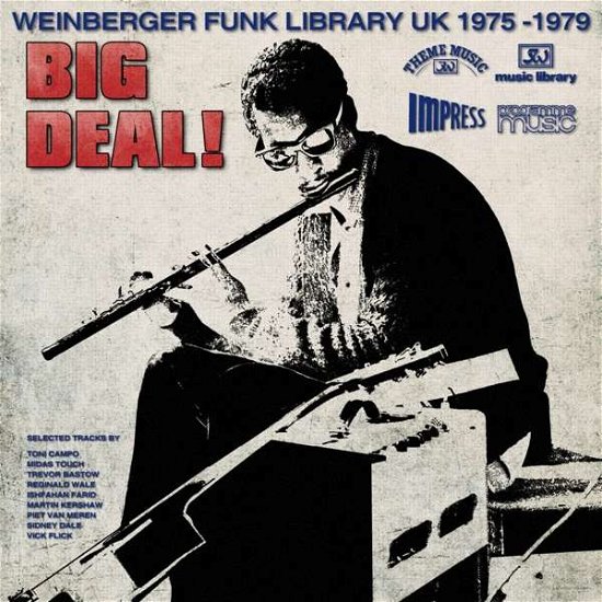 Cover for Big Deal Weinberger Funk Library UK 1975-79 / Var (LP) (2016)