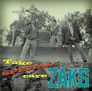 Cover for Zaks · Take Special Care (LP) (2014)