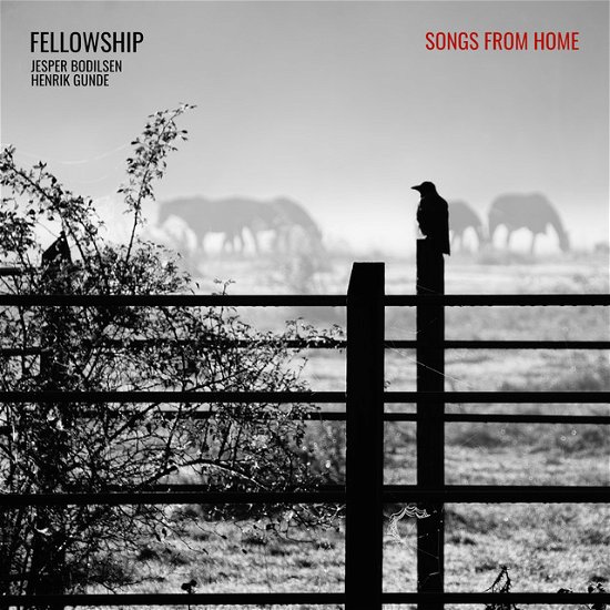 Cover for Fellowship - Jesper Bodilsen &amp; Henrik Gunde · Songs From Home (LP) (2021)