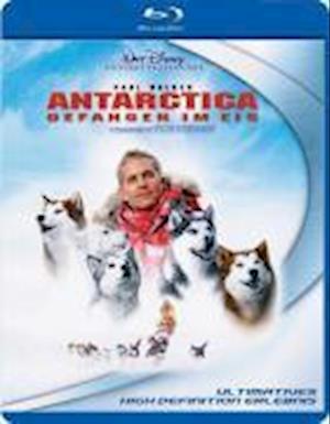 Cover for Antarctica · Antarctica - Gefangen Im Eis BD (Blu-ray) (2007)