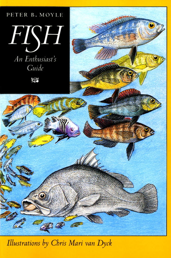 Cover for Peter B. Moyle · Fish: An Enthusiast's Guide (Paperback Book) (1995)