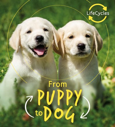 Lifecycles - Pup To Dog - Life Cycles - Camilla De La Bedoyere - Bøger - QED Publishing - 9780711243651 - 20. august 2019
