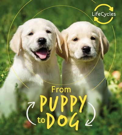 Cover for Camilla De La Bedoyere · Lifecycles - Pup To Dog - Life Cycles (Pocketbok) (2019)