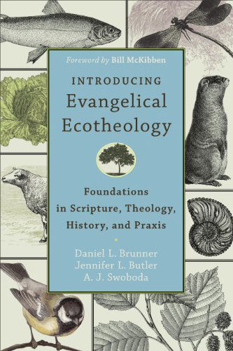 Cover for Daniel L. Brunner · Introducing Evangelical Ecotheology – Foundations in Scripture, Theology, History, and Praxis (Paperback Book) (2014)