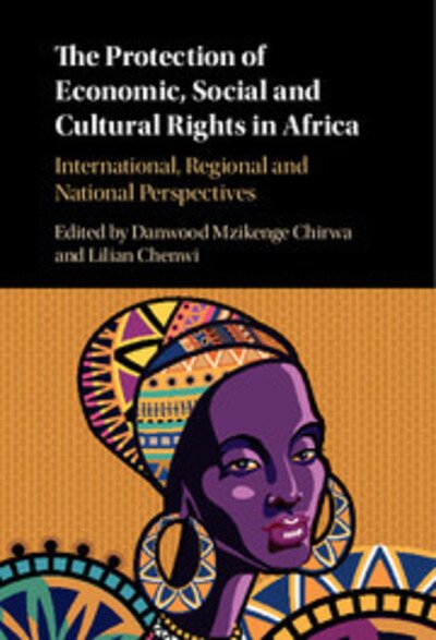 Cover for Danwood Mzikenge Chirwa · The Protection of Economic, Social and Cultural Rights in Africa: International, Regional and National Perspectives (Hardcover Book) (2016)