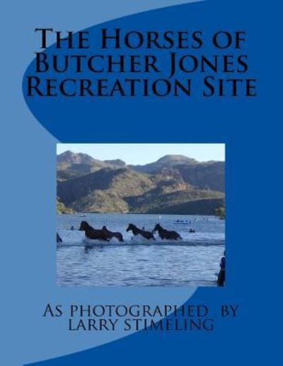 Cover for Larry Stimeling · The Horses of Butcher Jones Recreation Site (Paperback Book) (2015)