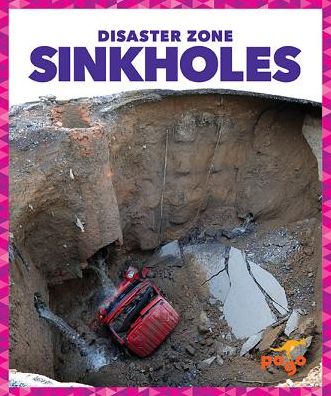 Sinkholes - Disaster Zone - Vanessa Black - Książki - Jump! Incorporated - 9781620315651 - 14 lutego 2019