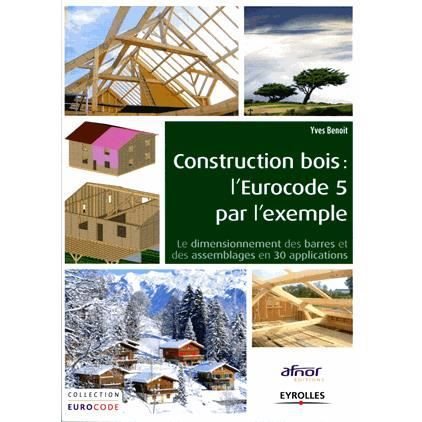 Cover for Yves Benoit · Construction bois (Paperback Book) (2014)