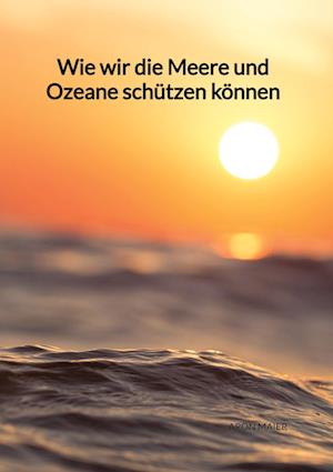 Cover for Aron Maier · Wie wir die Meere und Ozeane schützen können (Book) (2023)