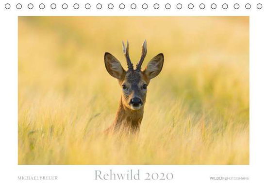 Cover for Breuer · Rehwild 2020 (Tischkalender 2020 (Book)