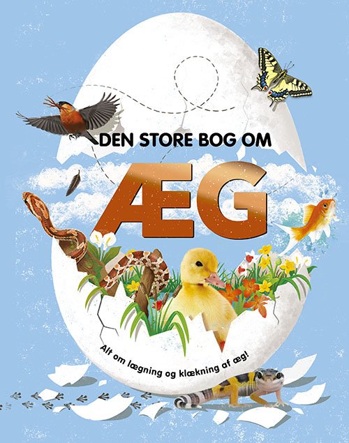 Cover for Den store bog om æg (Bound Book) [1. Painos] (2023)