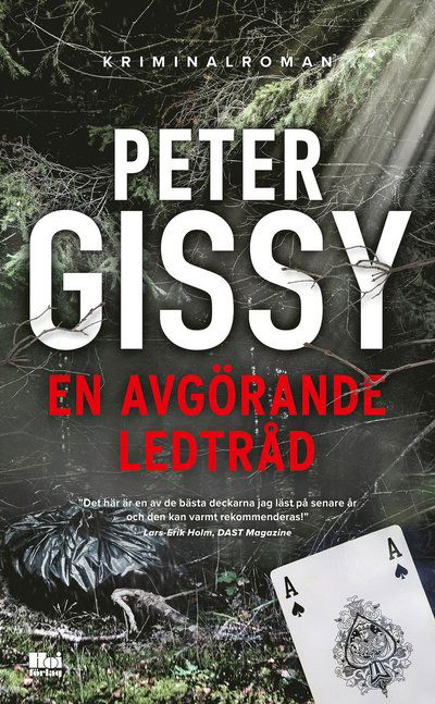 Cover for Peter Gissy · En avgörande ledtråd (Paperback Book) (2024)