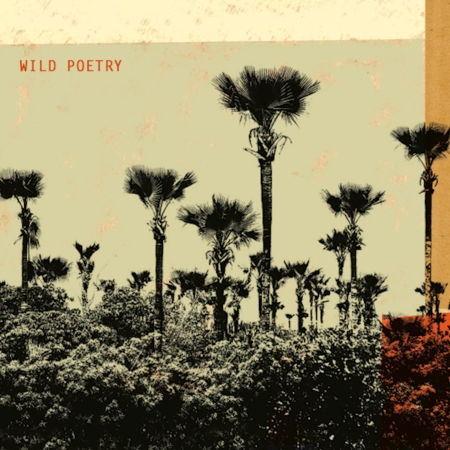 Patrois, David & Marcault · Wild Poetry (CD) [Digipak] (2020)