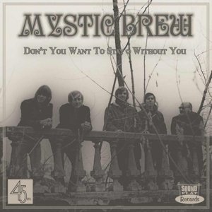 Cover for Mystic Brew · Don't You Want To Stay (7&quot;) (2014)
