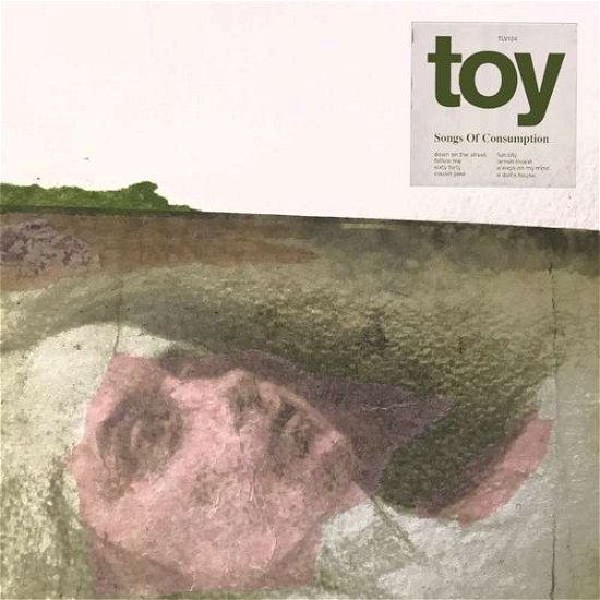 Songs of Consumption - Toy - Music - Tough Love - 5055869546652 - November 15, 2019