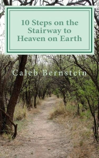 Cover for Caleb Bernstein · 10 Steps on the Stairway to Heaven on Earth: #learnfrommymistakes (Paperback Bog) (2013)