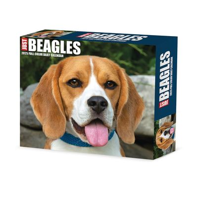 Beagles 2025 6.2 X 5.4 Box Calendar - Willow Creek Press - Merchandise - Willow Creek Press Calendars - 9781549240652 - September 10, 2024