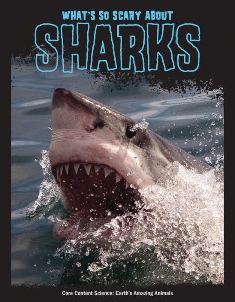 Cover for Joanne Mattern · What's So Scary about Sharks? (Hardcover Book) (2022)