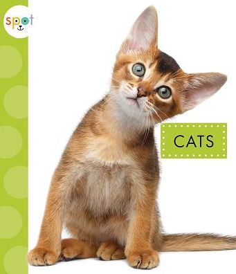 Cats - Mari C Schuh - Książki - Amicus - 9781681513652 - 1 września 2018