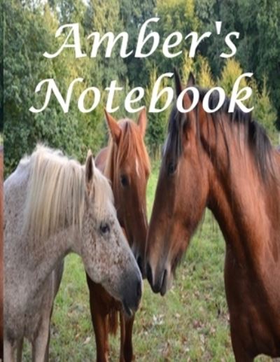 Cover for Bif Ramone · Amber's Notebook (Paperback Book) (2019)