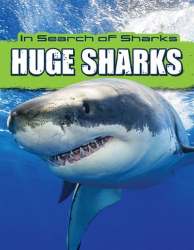 Cover for David Thompson · Huge Sharks (Innbunden bok) (2021)