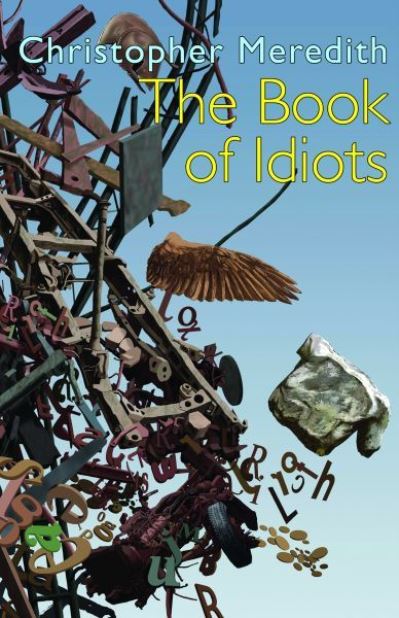 Cover for Christopher Meredith · The Book of Idiots (Paperback Book) (2012)