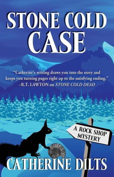 Cover for Catherine Dilts · Stone Cold Case (Paperback Book) (2017)