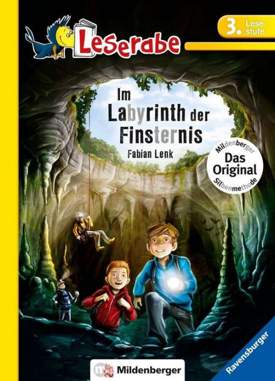 Cover for Lenk · Im Labyrinth der Finsternis (Bog)