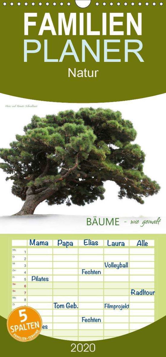 Cover for Schmidbauer · BÄUME - wie gemalt - Famili (Bok)