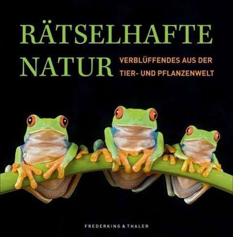 Cover for Köthe · Rätselhafte Natur (Buch)