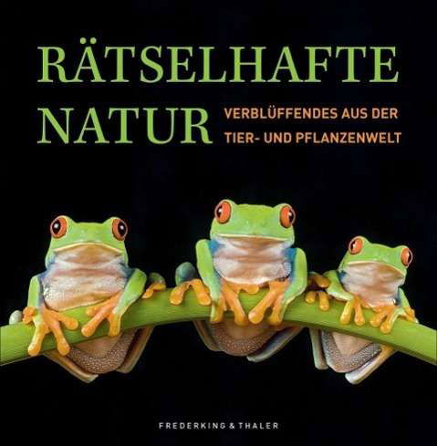 Rätselhafte Natur - Köthe - Książki -  - 9783954161652 - 