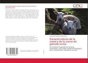 Cover for Martínez · Características de la canal y (Bog)
