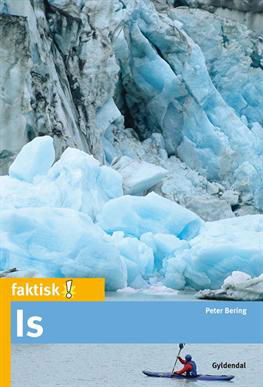 Cover for Peter Bering · Faktisk!: Is (Sewn Spine Book) [1.º edición] (2013)
