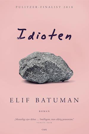 Idioten - Elif Batuman - Bøger - Hr. Ferdinand - 9788740044652 - 7. februar 2019