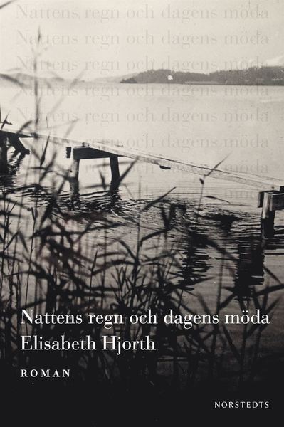 Cover for Elisabeth Hjorth · Nattens regn och dagens möda (ePUB) (2017)