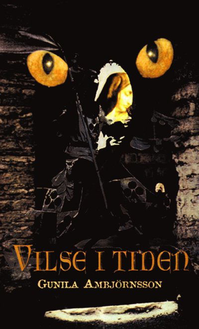 Cover for Gunila Ambjörnsson · Vilse i tiden (PDF) (2003)