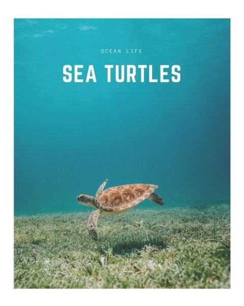 Cover for Decora Book Co · Sea Turtles (Taschenbuch) (2020)